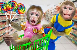 爱花钱的小猴子